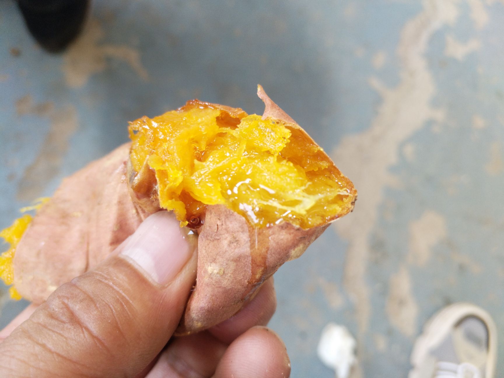  诸城市（马山岭）蜜薯！