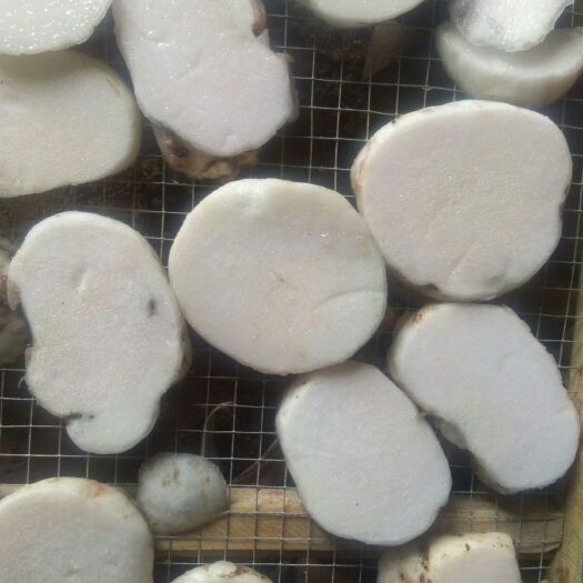 南华县魔芋干片1000g