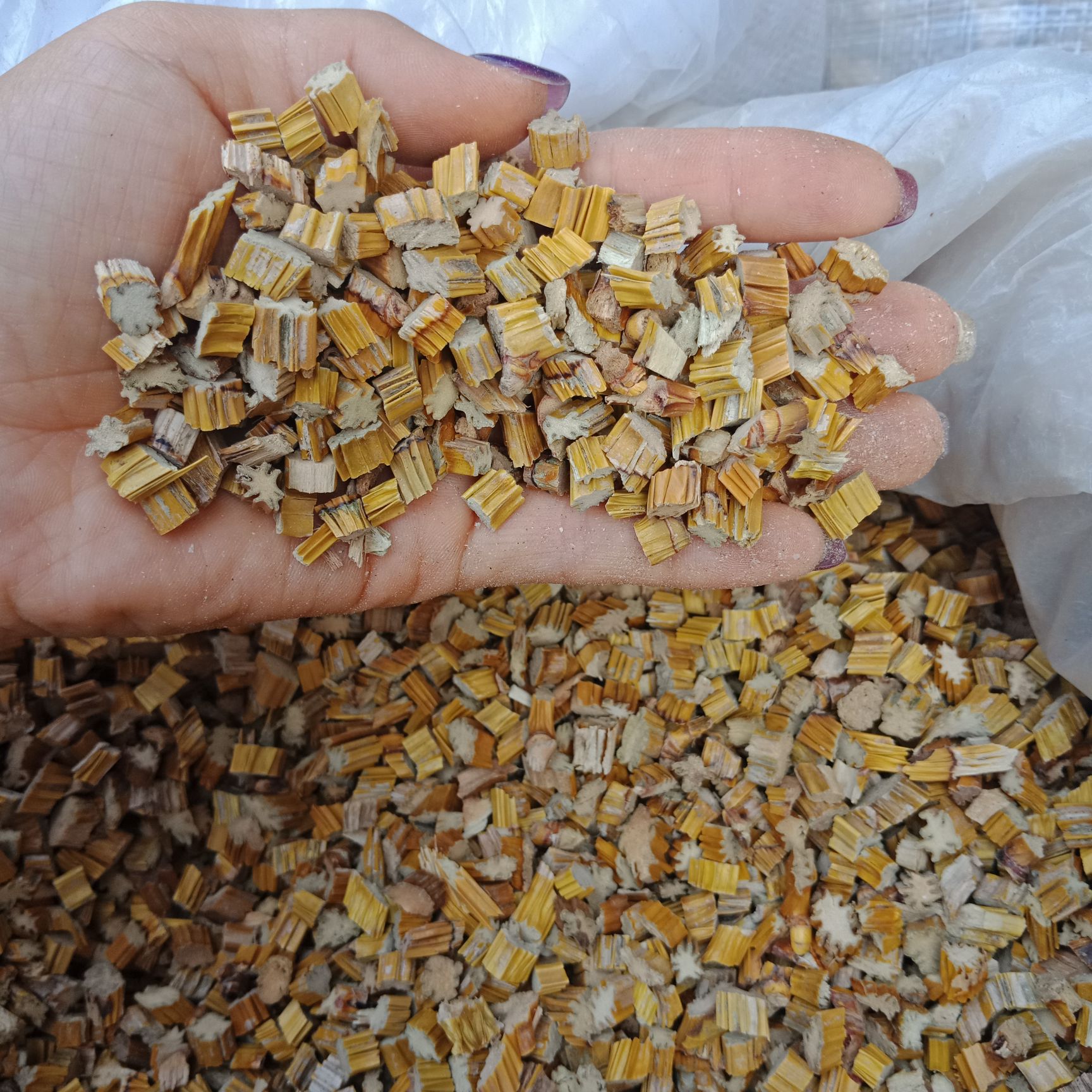  石斛  地道安国中药材石斛
千年药都祁州安国发货