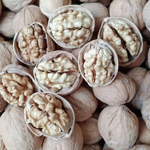 杭州 新疆阿克苏纸皮核桃新货上市了