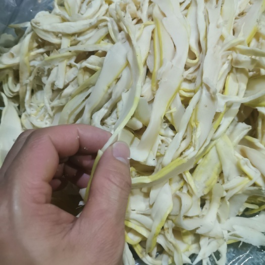 南靖县麻笋 笋尖丝