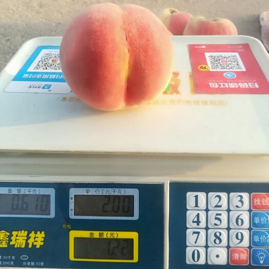 招远市永莲1号蜜桃 80mm以上 5两以上