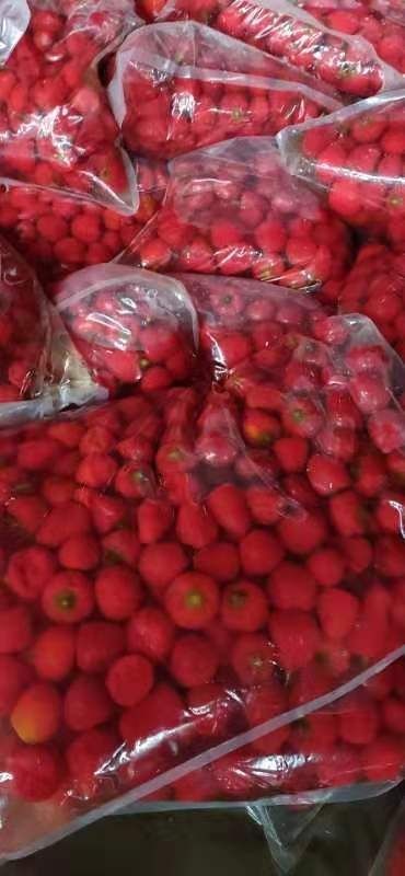 凤冈县 珠子椒