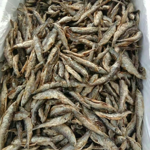景东县干炸小公鱼 生态油炸小鱼干，干净卫生，无污染剂