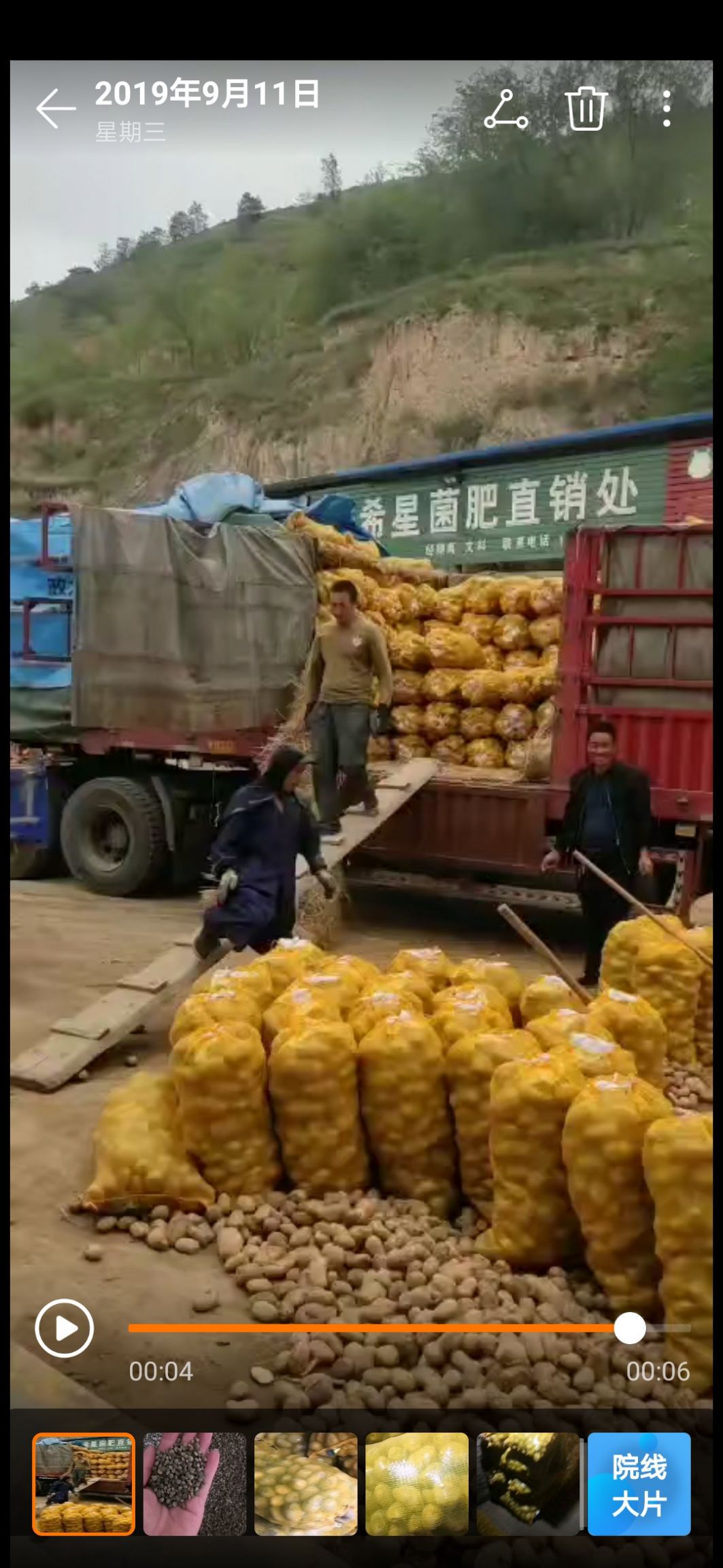 陇七土豆 三两起步 无虫眼 无青头 无破烂 质量好