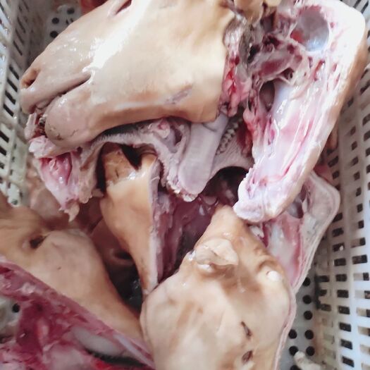 阳信县羊头肉