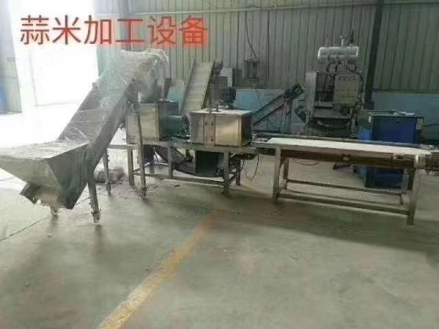 金乡县去皮机  家用小型蒜米机