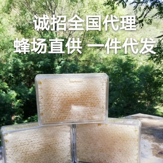 邢台 500克荆条蜂巢蜜， 批发零售一手货源，蜂场直供！量大从优！