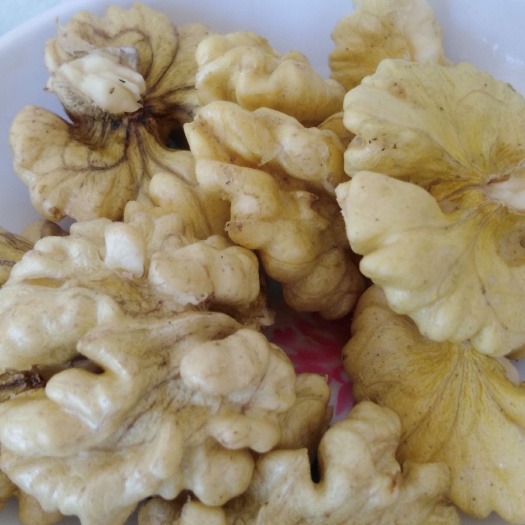 永平县 云南新鲜核桃