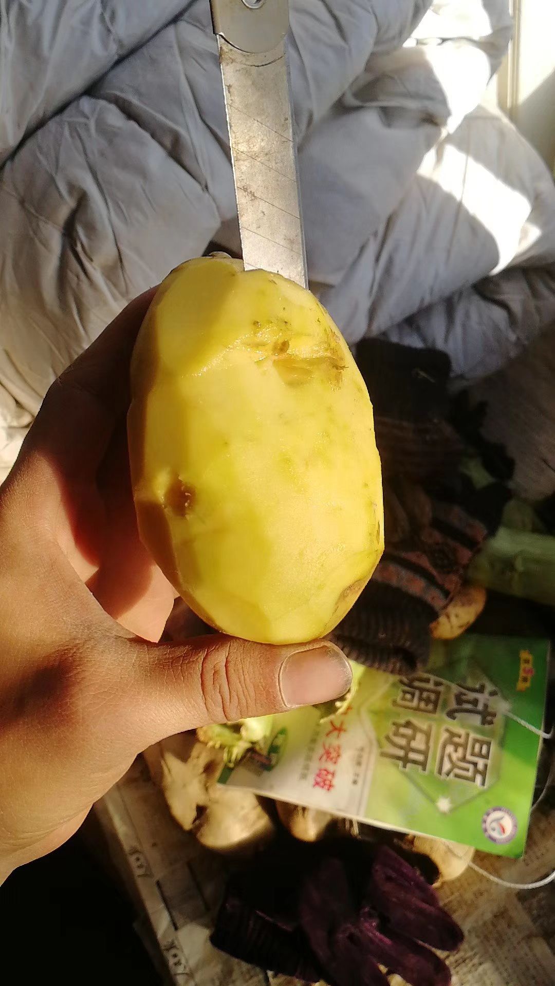 陇七土豆 三两起步 无虫眼 无青头 无破烂 质量好