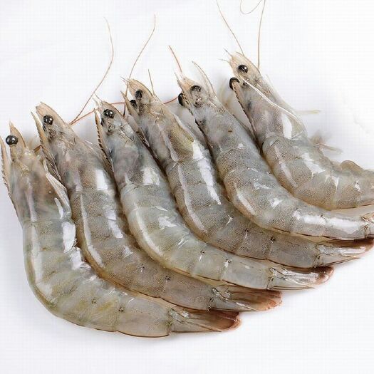 泰州冻虾 40―50大对虾大量供应