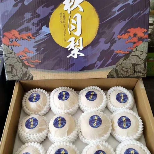 威县 秋月梨