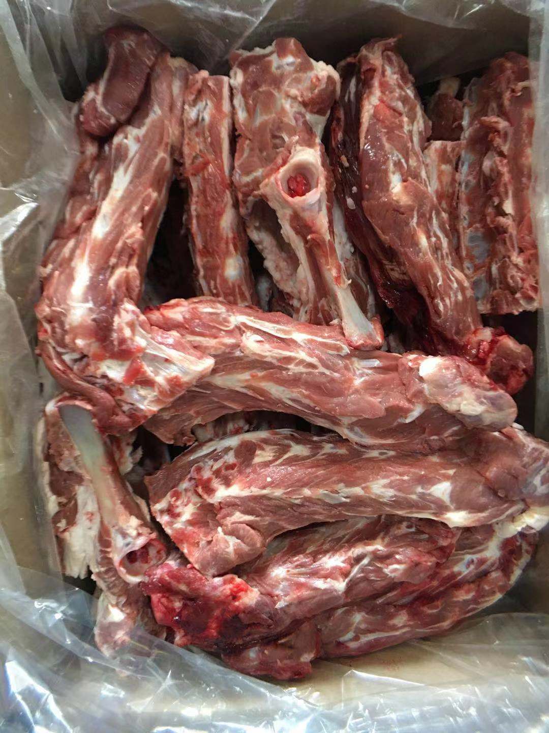 羊蝎子  羔羊多肉羊脊骨