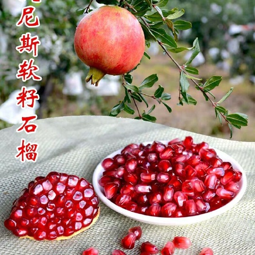 荥阳市 突尼斯软籽石榴新鲜采摘现发现货产地直销批发采购6-8两