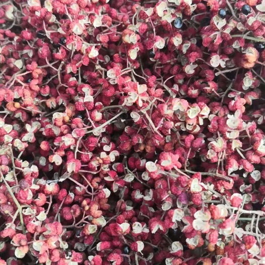 邯郸红花椒 大红袍，小红袍，价格合理，
