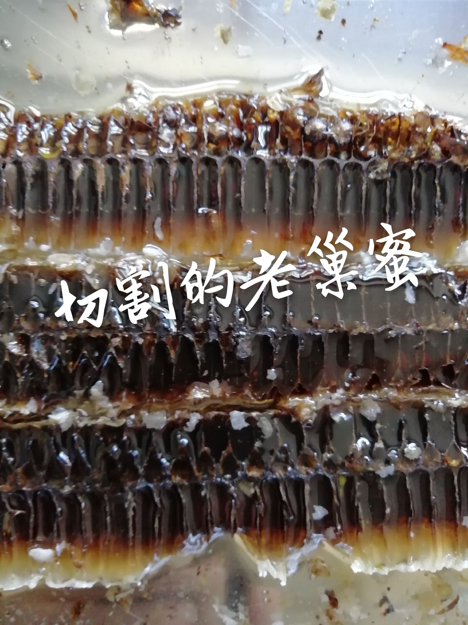 蜂巢蜜 3年野生老巢蜜    鼻炎咽炎的克星秋天嗓子痒鼻子不舒服吃它