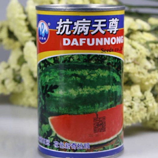 樟树市 高产西瓜种子大花皮抗病天尊高糖少籽基地原装100克包邮