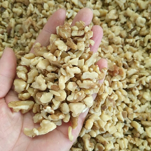 沧县核桃仁 核桃碎
