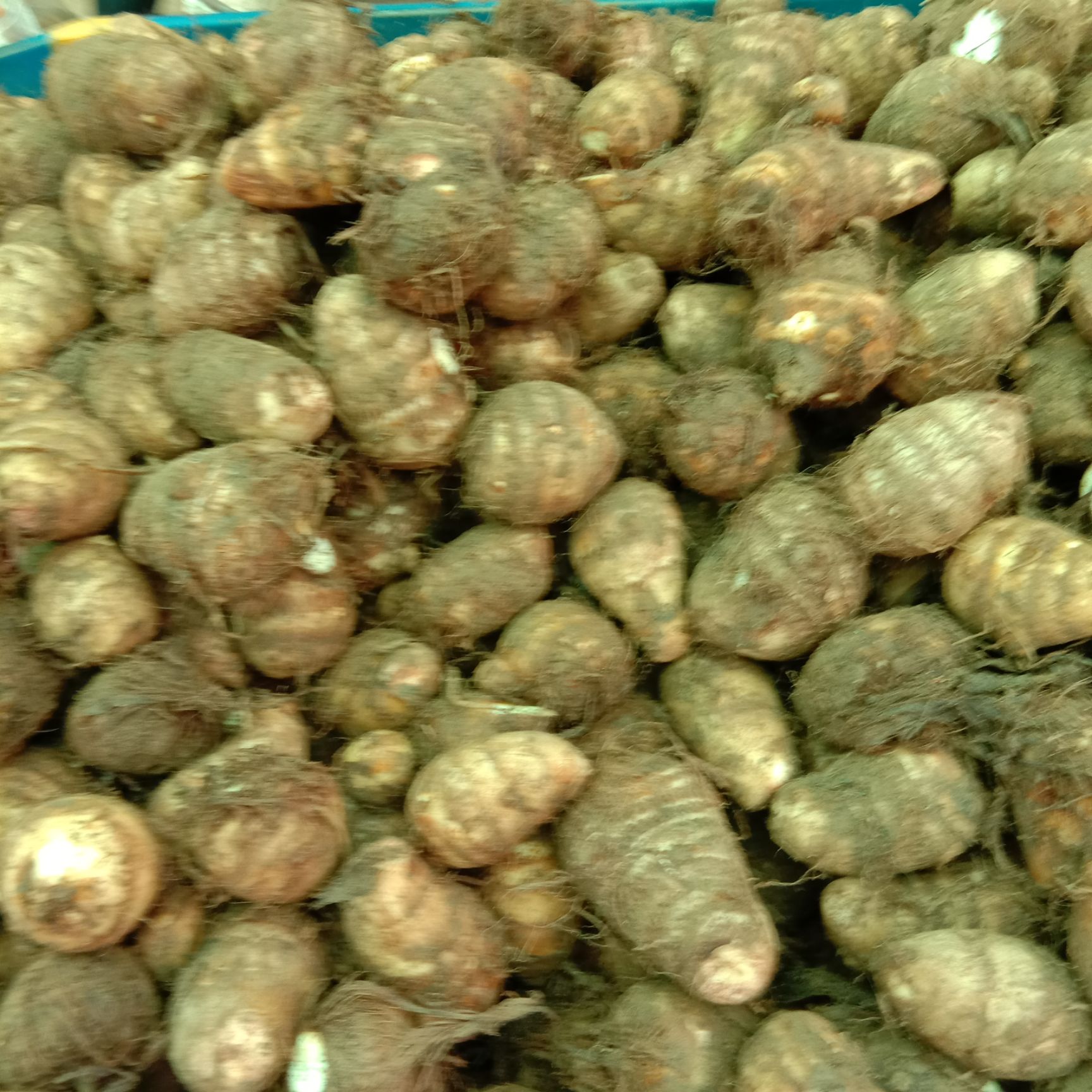  產(chǎn)地直銷萬畝毛芋頭大量出售，全國發(fā)貨，質(zhì)量包證