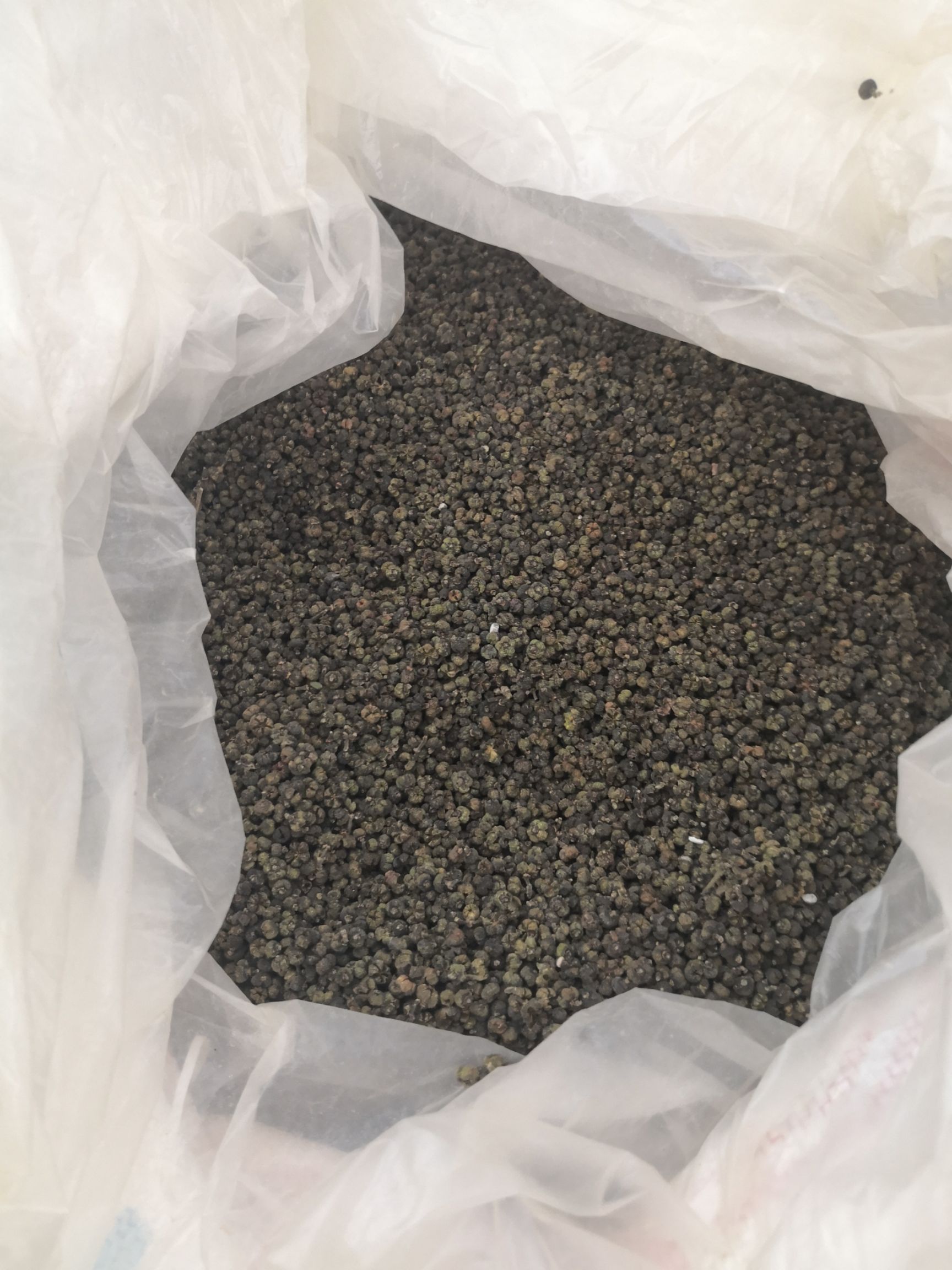  中花吴茱萸