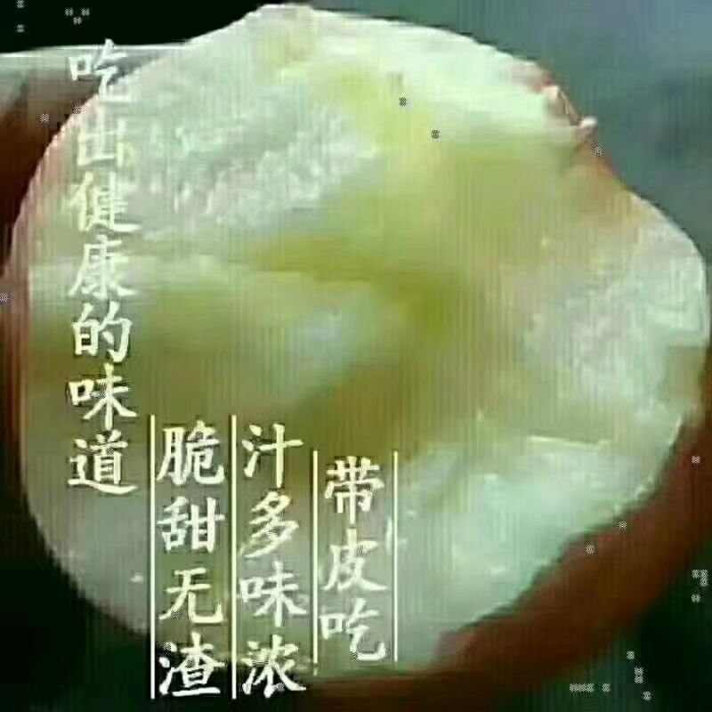 红富士苹果 现摘，现发，保证鲜果，每箱净重10斤，包运费