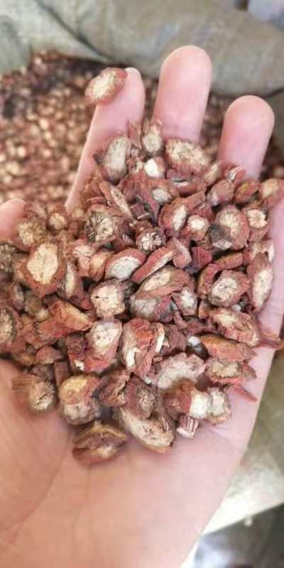 紫花丹参  新货粗根切片（药食两用）规格齐一公斤起包邮