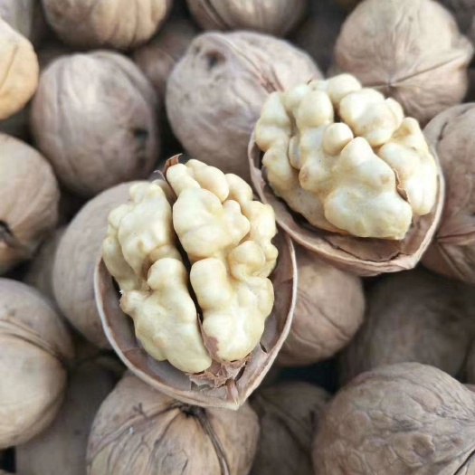 中牟县新疆核桃  2020新疆薄皮核桃新货33核桃185纸皮核桃