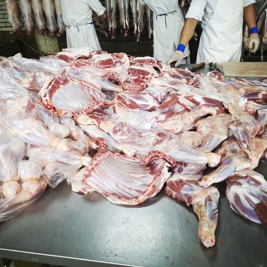 鄂温克旗 生羊肉
