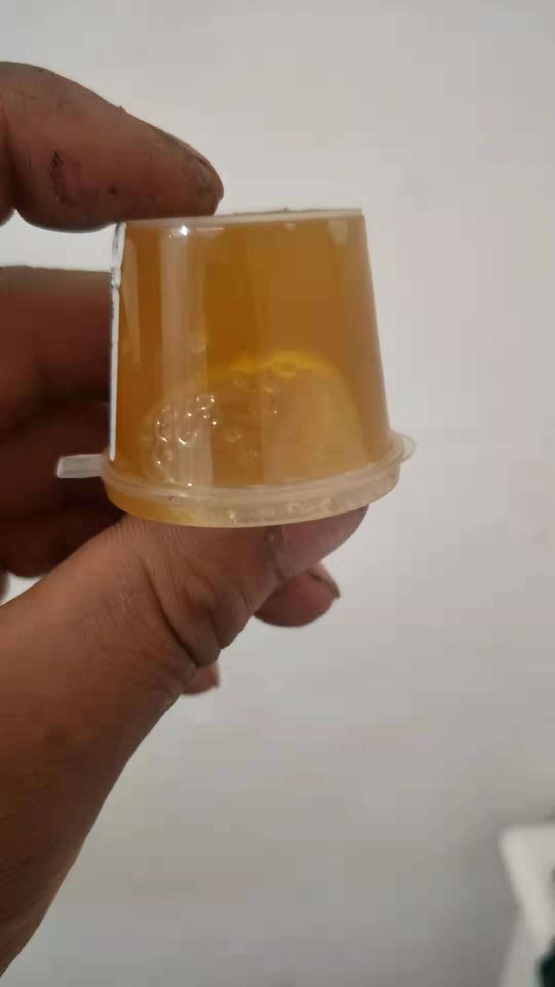 野生蜂蜜 野生蜜蜂试吃装