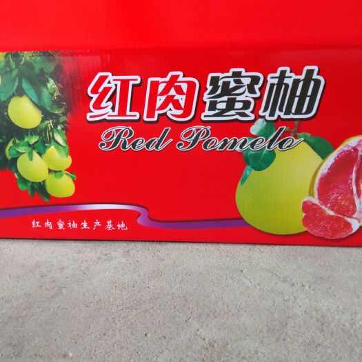 紫金县梅州蜜柚 红心蜜柚