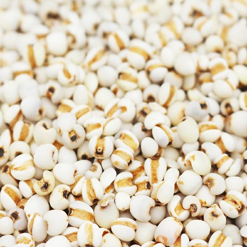 批发贵州薏米仁  生薏米仁 熟薏米仁 大粒薏米小粒薏米