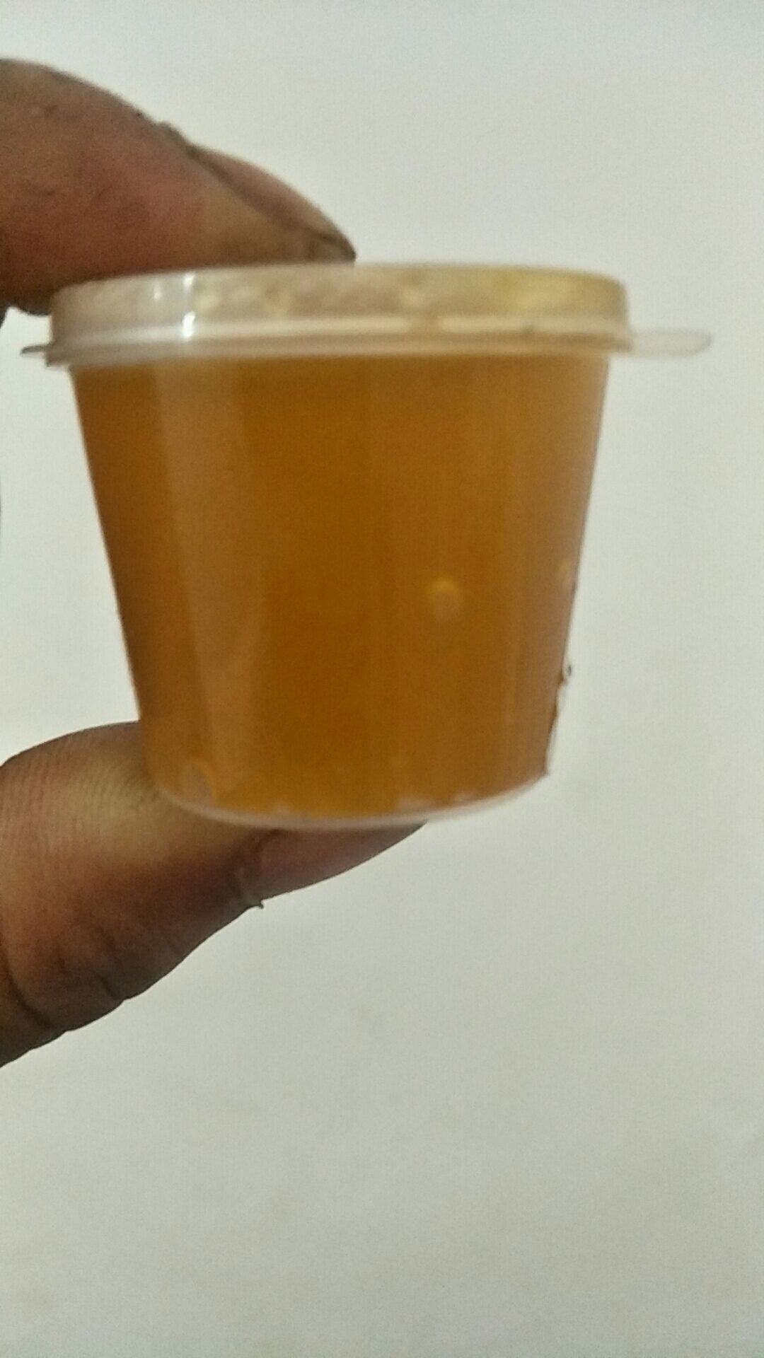 野生蜂蜜 野生蜜蜂试吃装