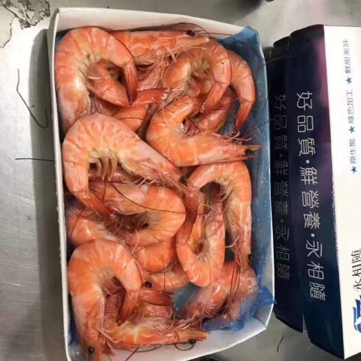 荣成市 黑虎虾