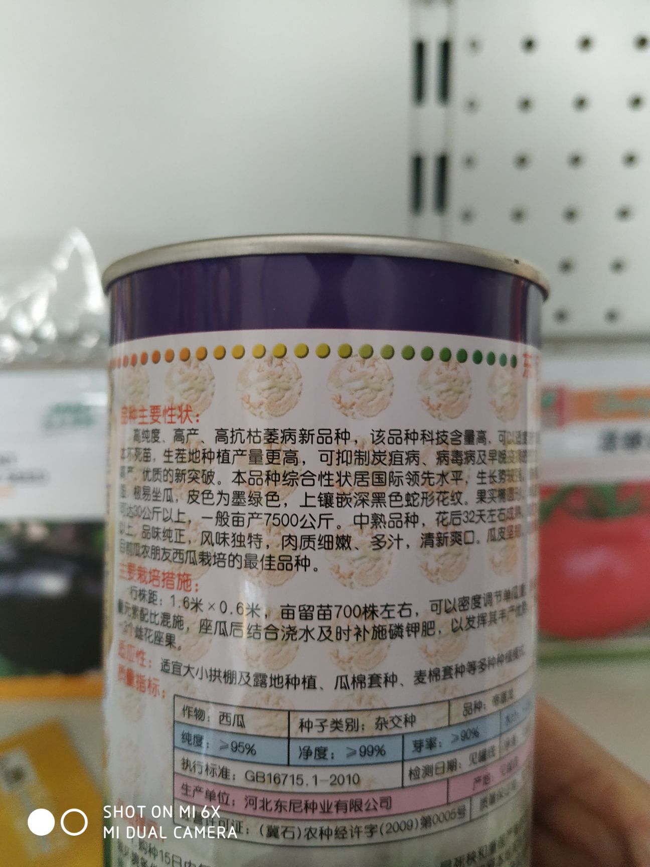 龙卷风西瓜种子  帝富龙耐重茬瓜码密易做果