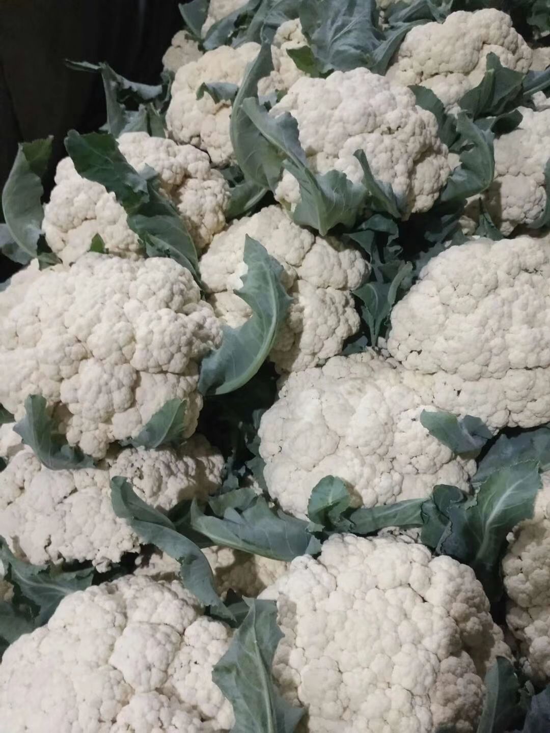 有机花菜  有机花大量上市