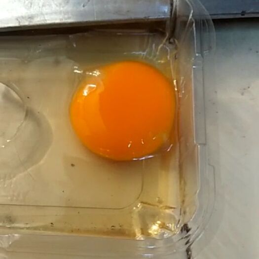 滕州市雏鸡蛋 食用 箱装