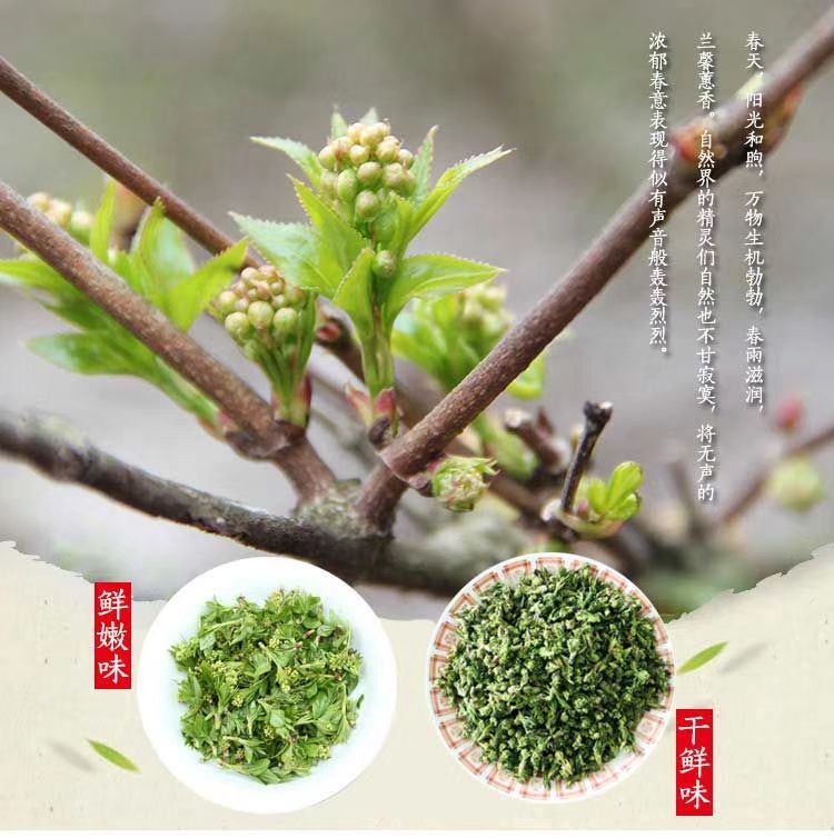 珍珠花菜  山野菜珍珠花苗