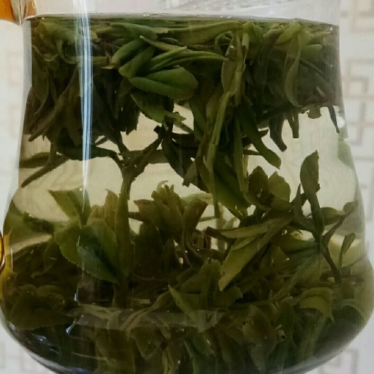 莒县 日照绿茶，自产自销，保质保量，保证价格
