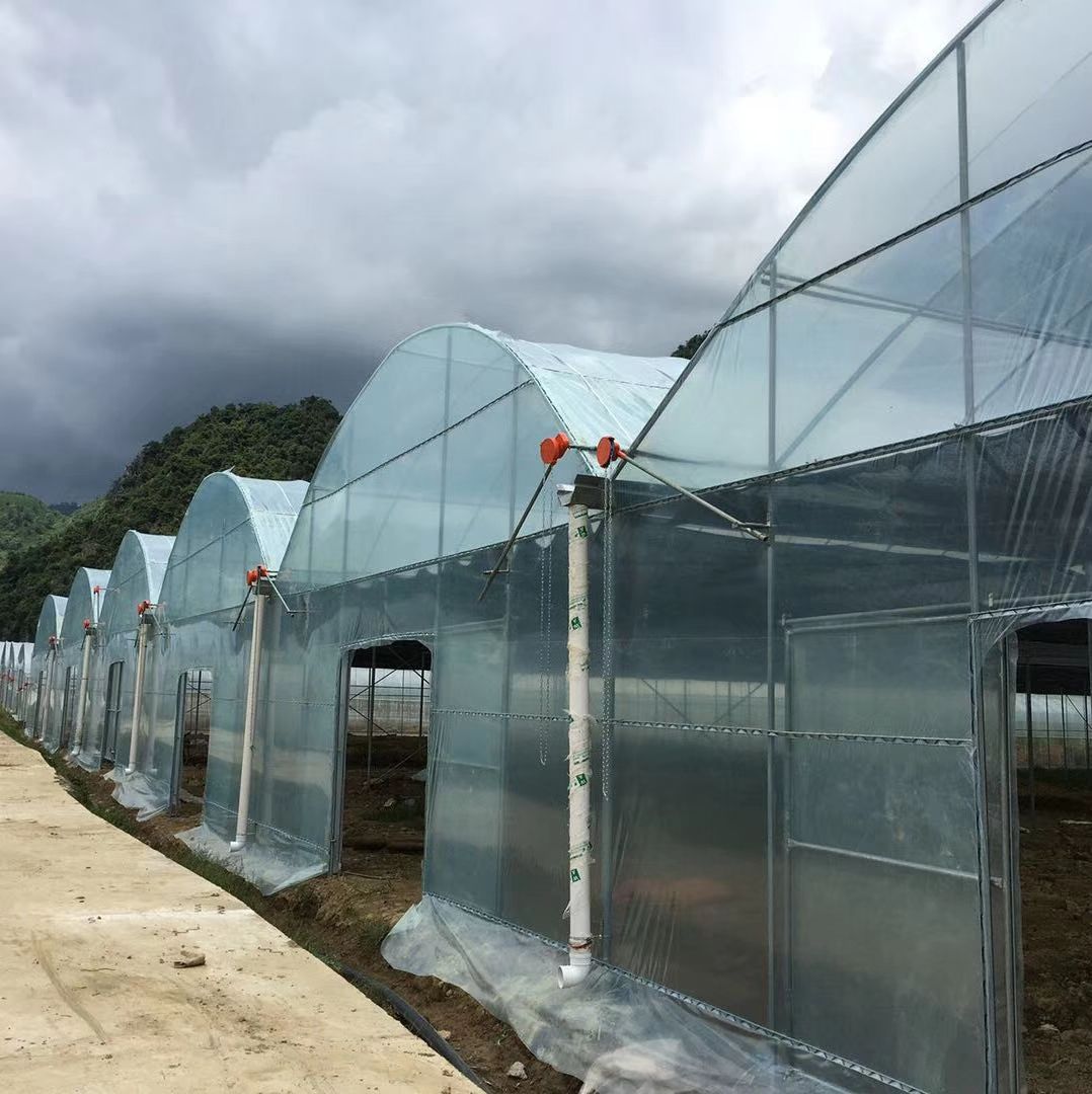 天津静海高品质大棚管批发直供