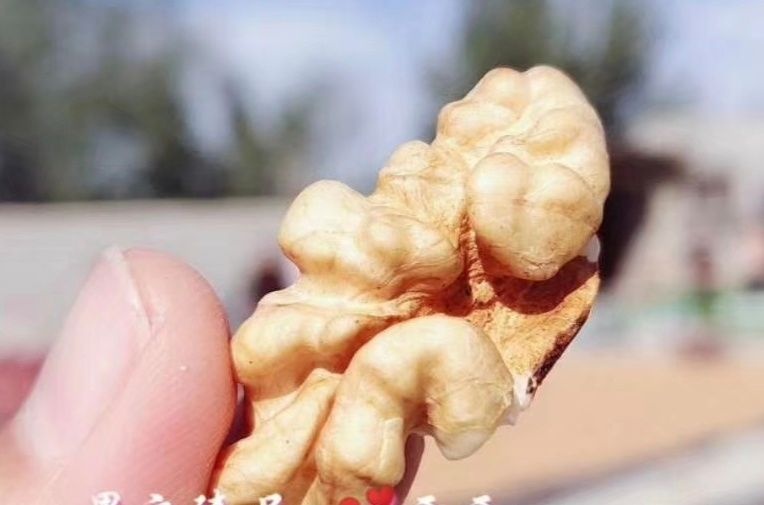 阿克苏市 阿克苏纸皮核桃185现货，阿克苏直发
