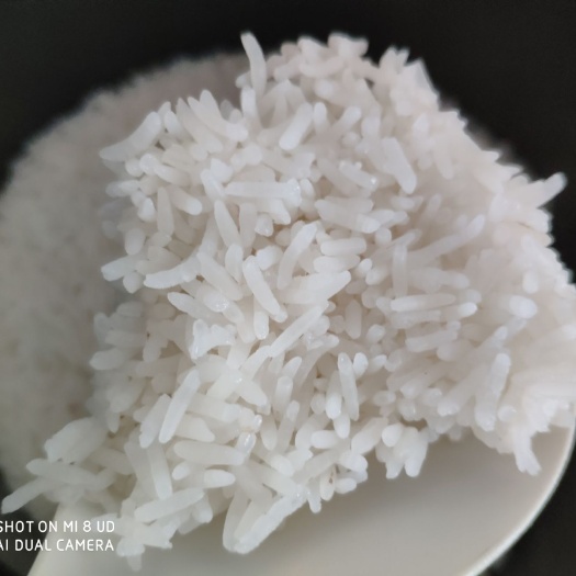 河源 大米冬米正宗农家米（香软）米味浓天然软硬适中米饭香省