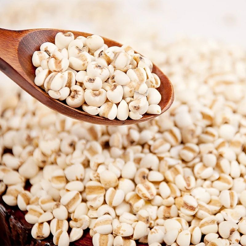 批发贵州薏米仁  生薏米仁 熟薏米仁 大粒薏米小粒薏米