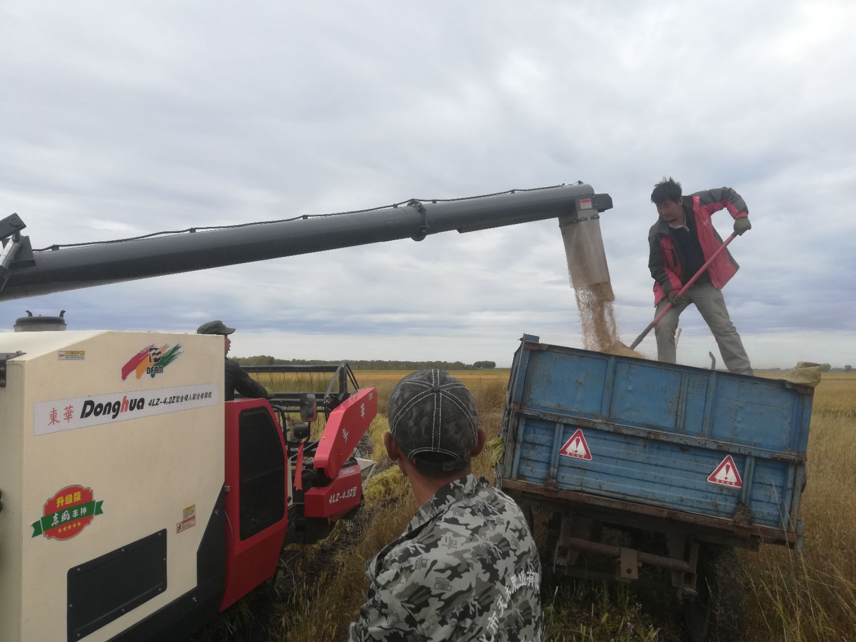 东北大米 2019新米上市！！！！