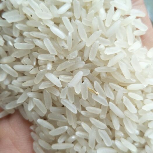 荆州宜香优2115稻谷6023稻谷隆两优534