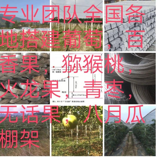 兴安县立柱 蔬菜水果水泥柱子