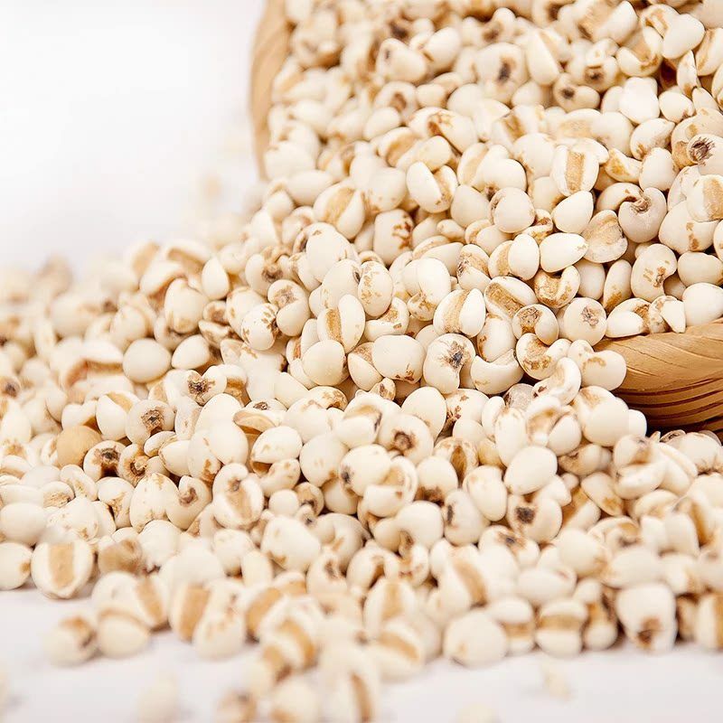 批发贵州薏米仁  生薏米仁 熟薏米仁 大粒薏米小粒薏米