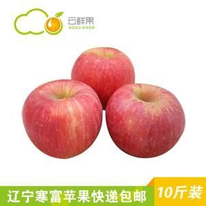 宽甸县 辽宁丹东寒富苹果，果大，水多汁甜。