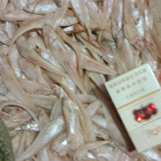  鄱阳湖的小白条，毛刀鱼，小杂鱼