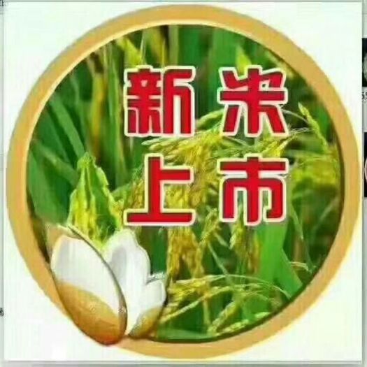 永吉县稻花香二号大米 一等品 晚稻 粳米
