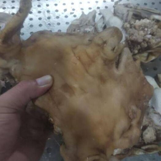 冠县 整套羊杂，手续齐全，放心品质